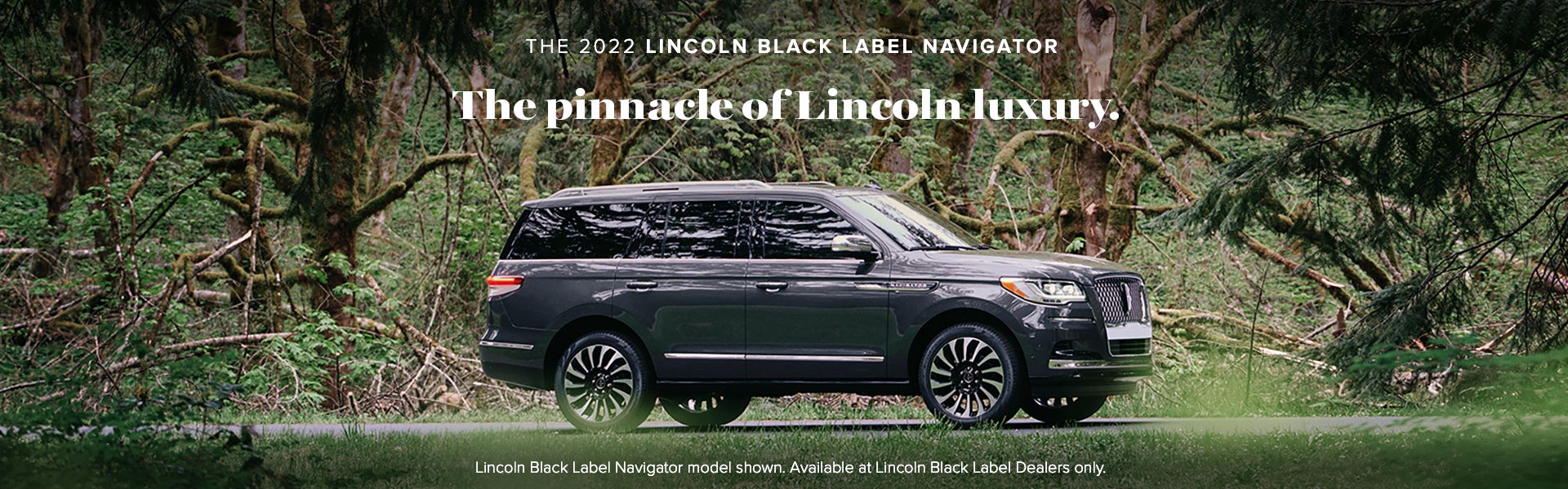 Alt Text: 2024 Lincoln Navigator in Muscatine 